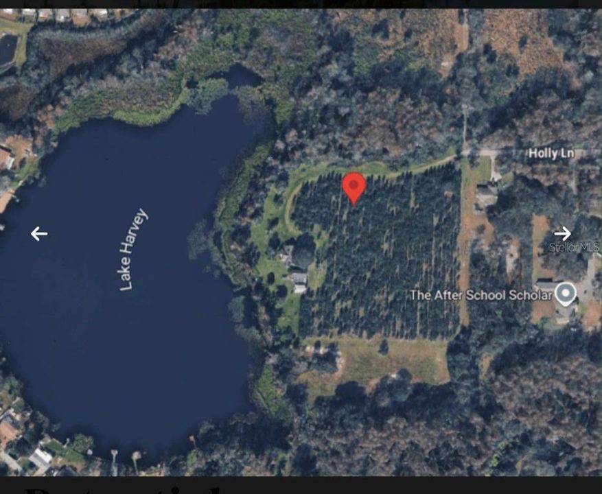 待售: $699,000 (4.33 acres)