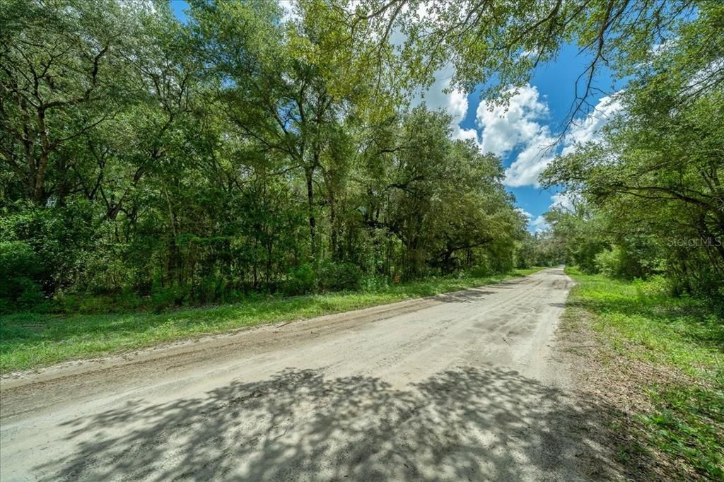 For Sale: $99,000 (2.92 acres)