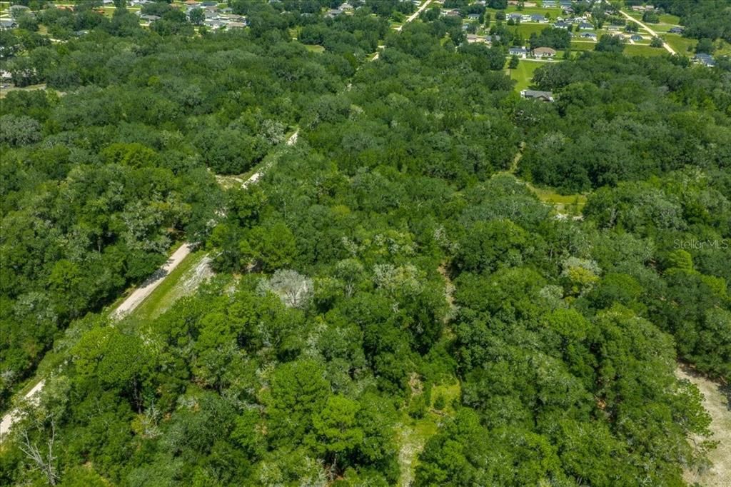 For Sale: $99,000 (2.92 acres)