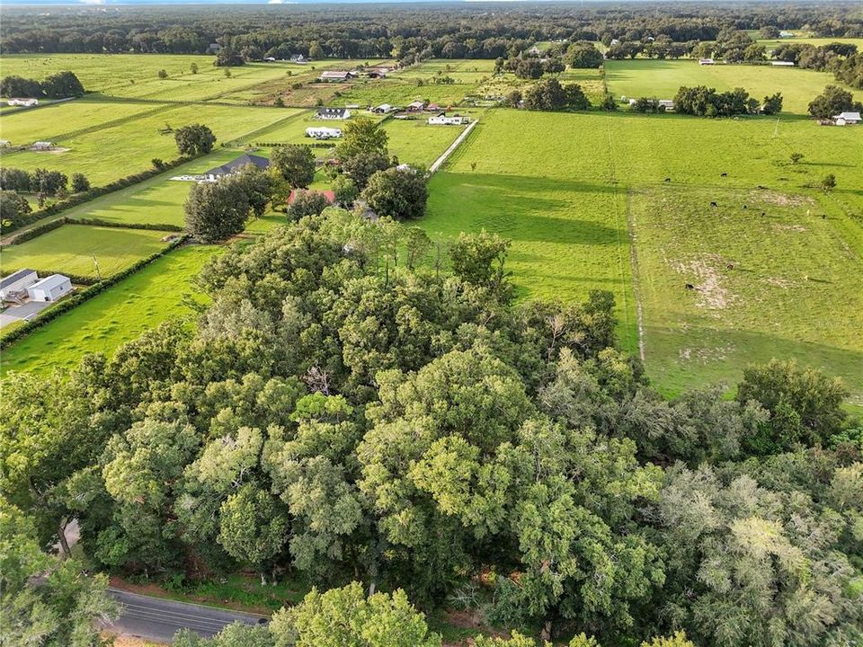 For Sale: $325,000 (7.95 acres)