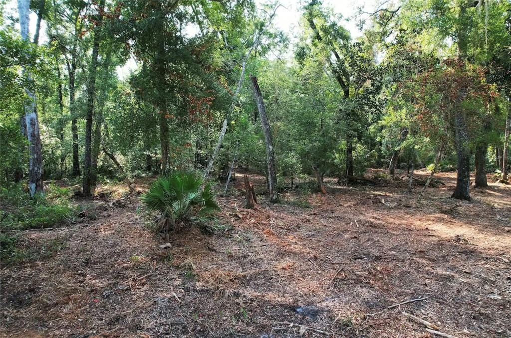 En Venta: $57,495 (4.00 acres)