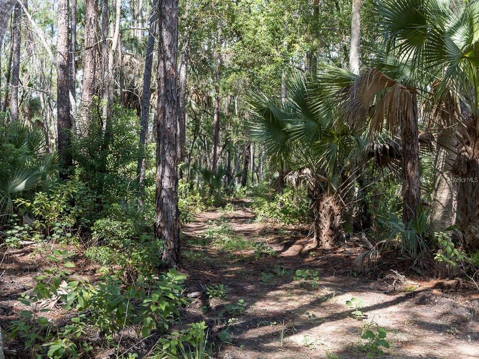For Sale: $249,900 (9.37 acres)
