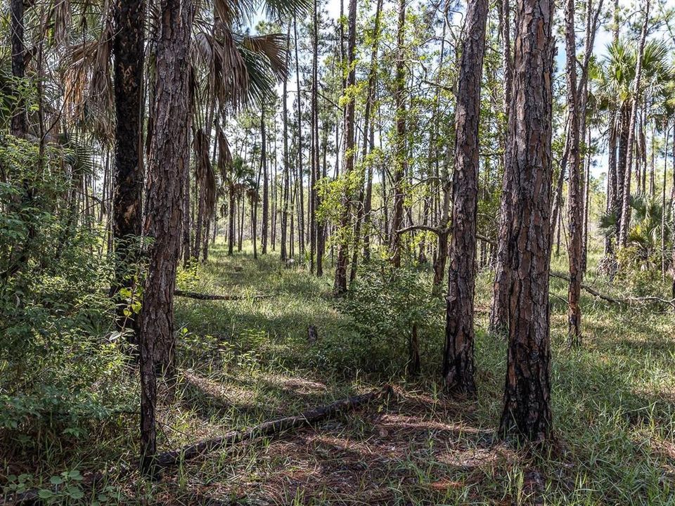 For Sale: $249,900 (9.37 acres)