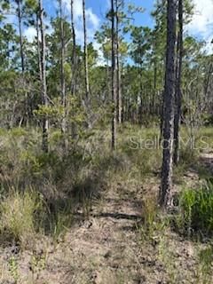 For Sale: $249,900 (9.37 acres)