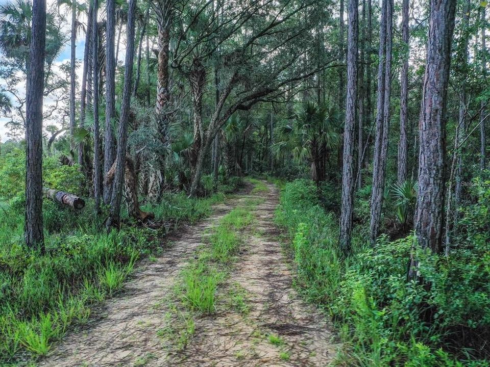 For Sale: $249,900 (9.37 acres)