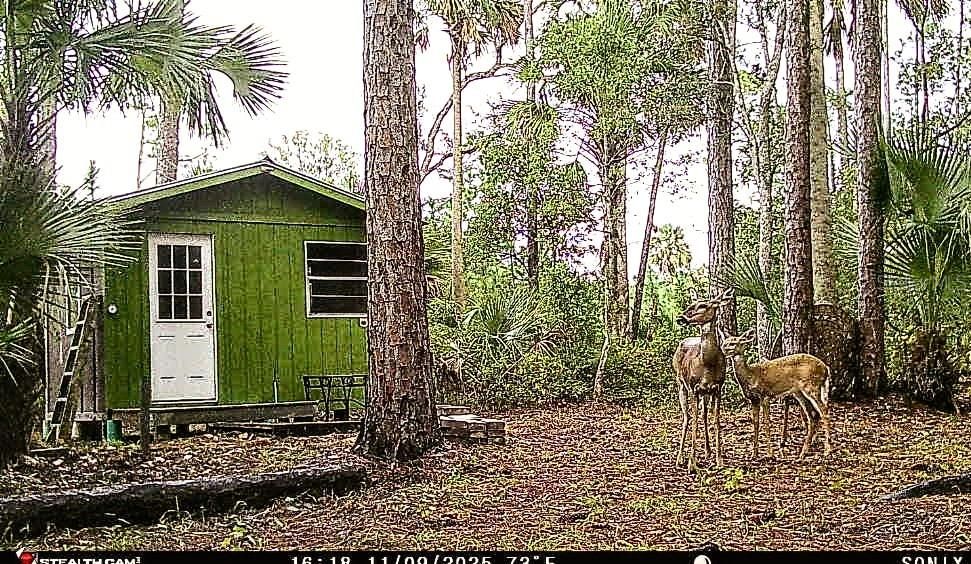 For Sale: $249,900 (9.37 acres)