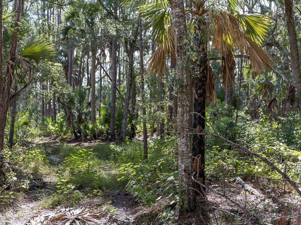 For Sale: $249,900 (9.37 acres)