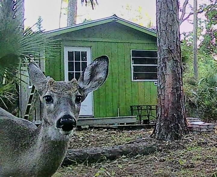 For Sale: $249,900 (9.37 acres)