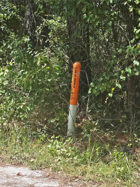 For Sale: $249,900 (5.00 acres)