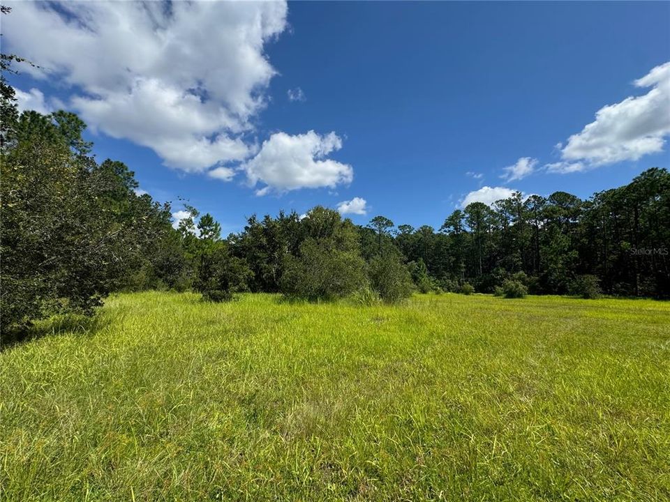 For Sale: $249,900 (5.00 acres)