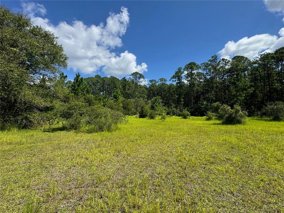 For Sale: $249,900 (5.00 acres)