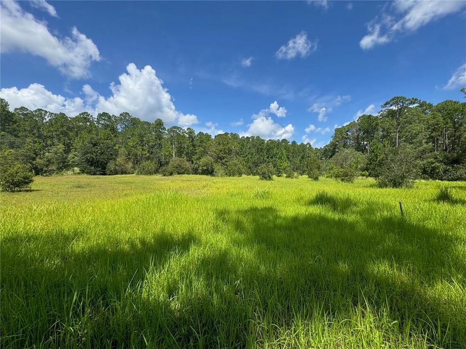 For Sale: $249,900 (5.00 acres)