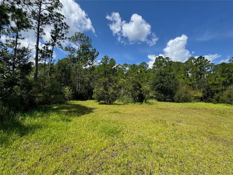 For Sale: $249,900 (5.00 acres)