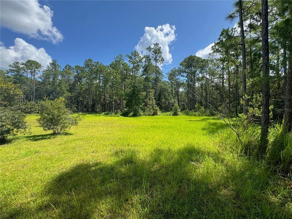 For Sale: $249,900 (5.00 acres)