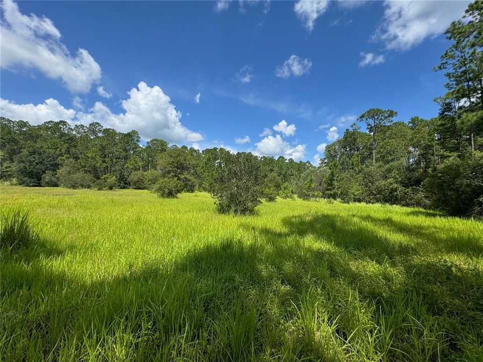 For Sale: $249,900 (5.00 acres)