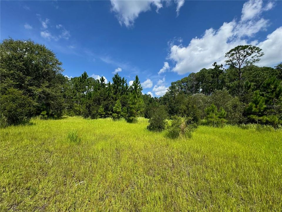 For Sale: $249,900 (5.00 acres)