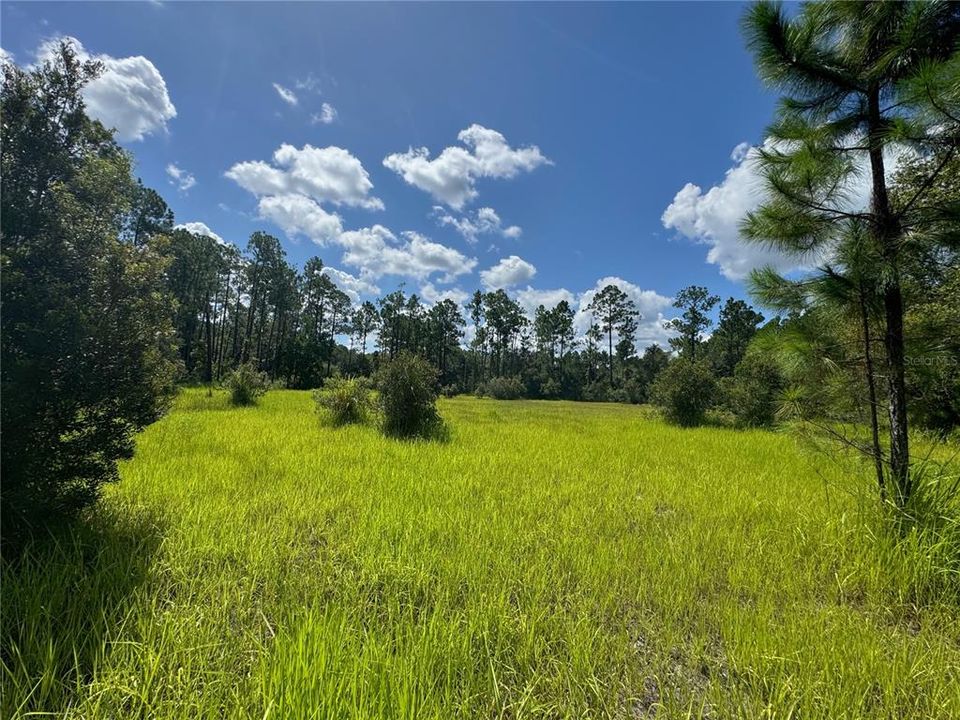 For Sale: $249,900 (5.00 acres)