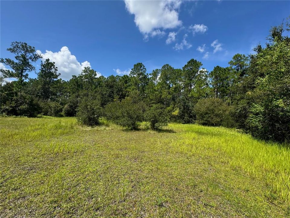 For Sale: $249,900 (5.00 acres)