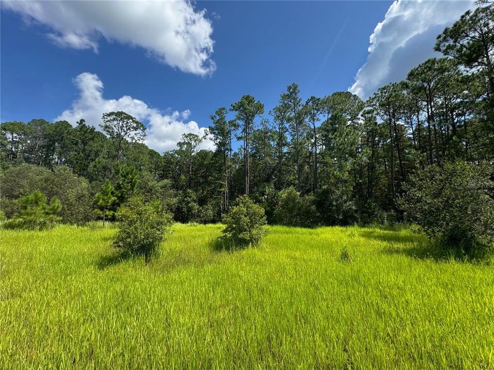 For Sale: $249,900 (5.00 acres)