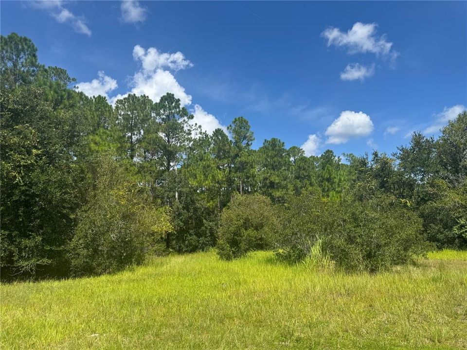For Sale: $249,900 (5.00 acres)