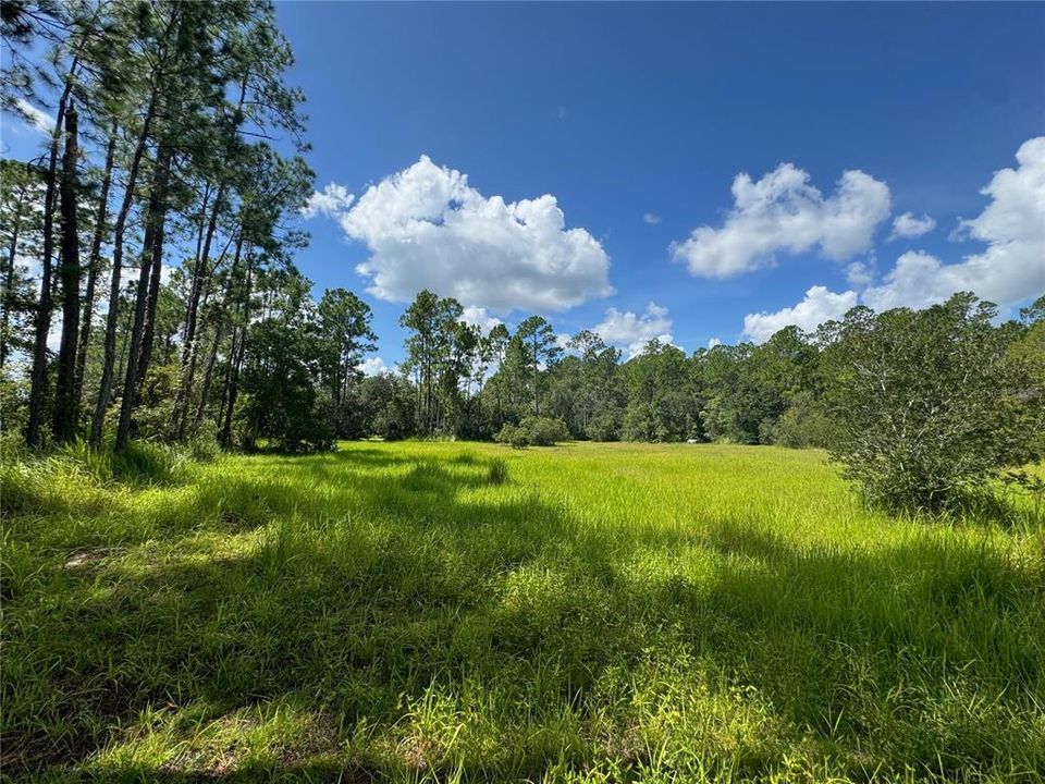 For Sale: $249,900 (5.00 acres)