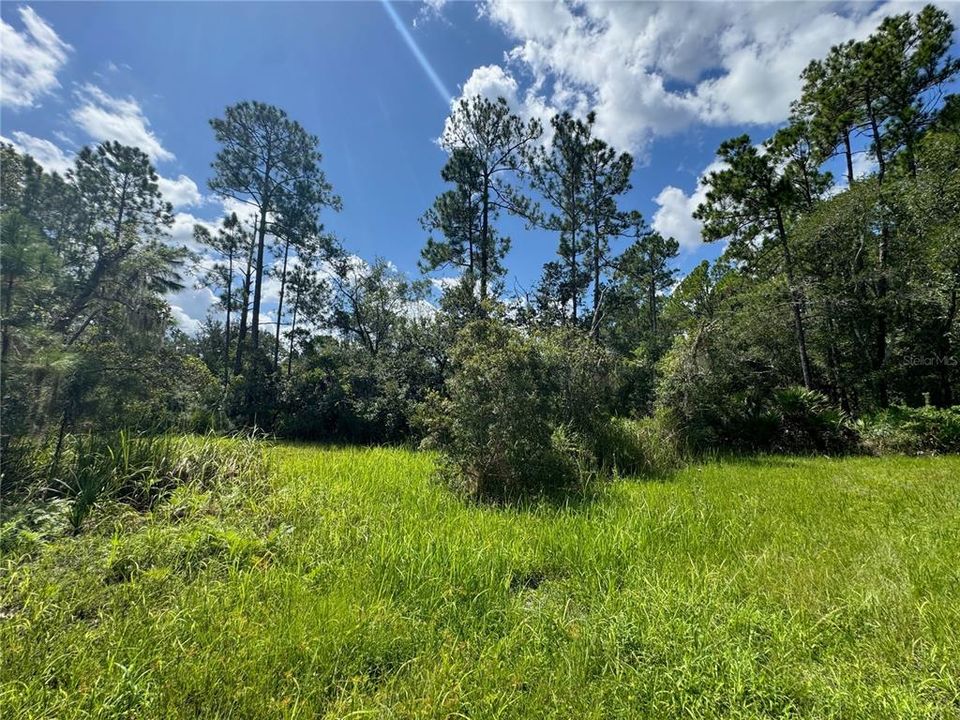 For Sale: $249,900 (5.00 acres)