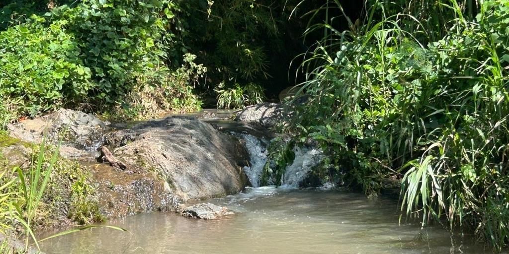 En Venta: $679,900 (117.00 acres)