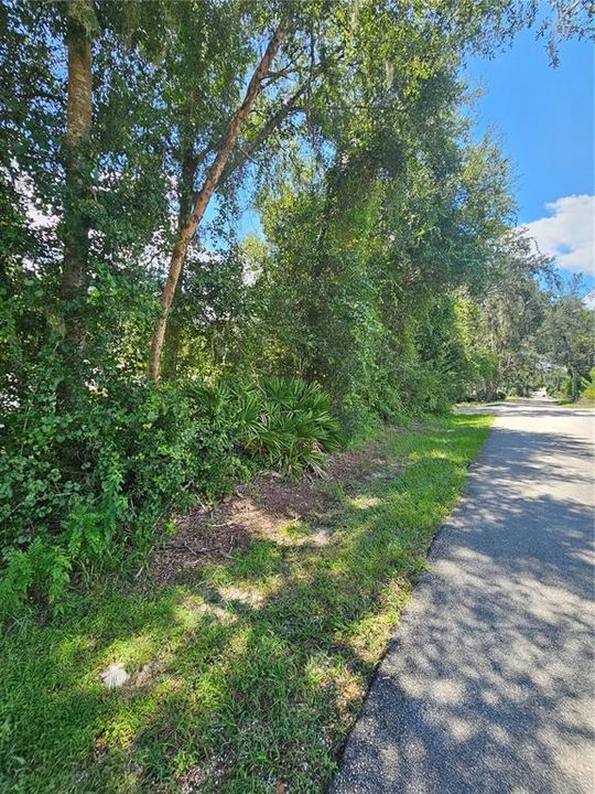 En Venta: $35,000 (0.11 acres)