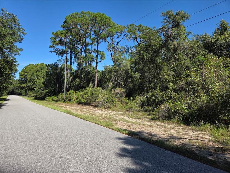 待售: $96,000 (2.02 acres)