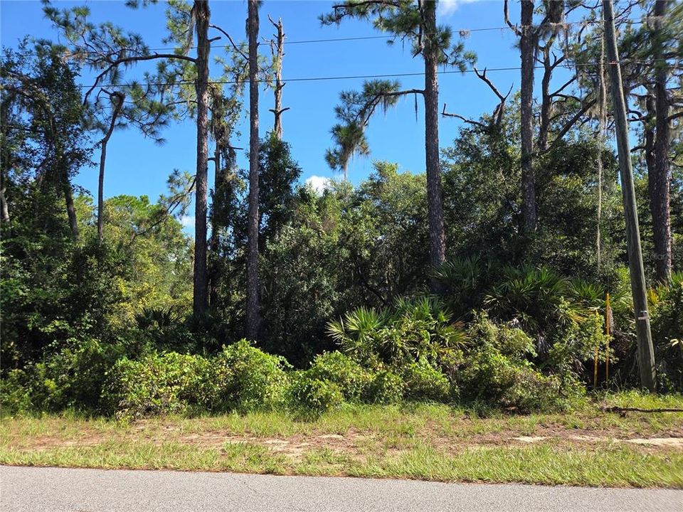待售: $96,000 (2.02 acres)