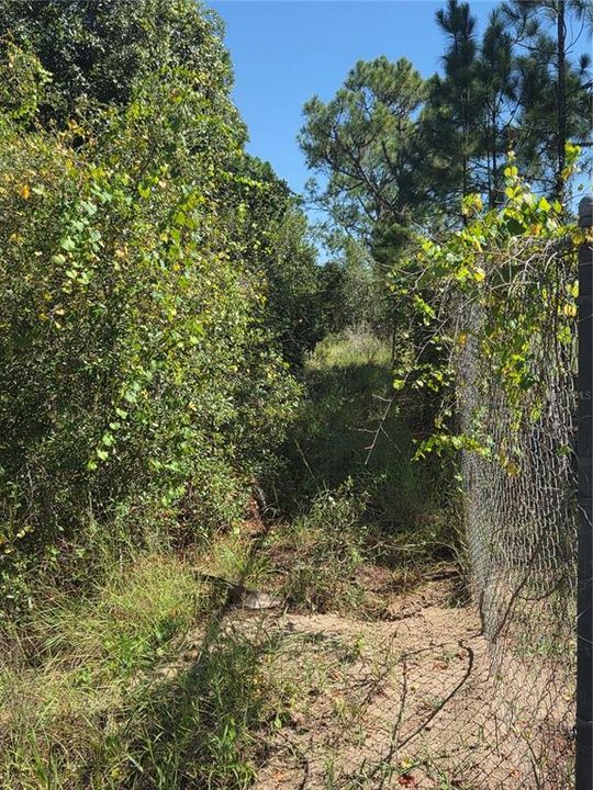 待售: $96,000 (2.02 acres)