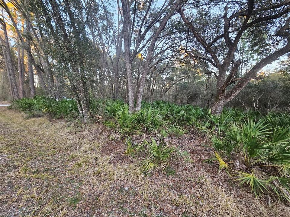 待售: $39,900 (0.98 acres)