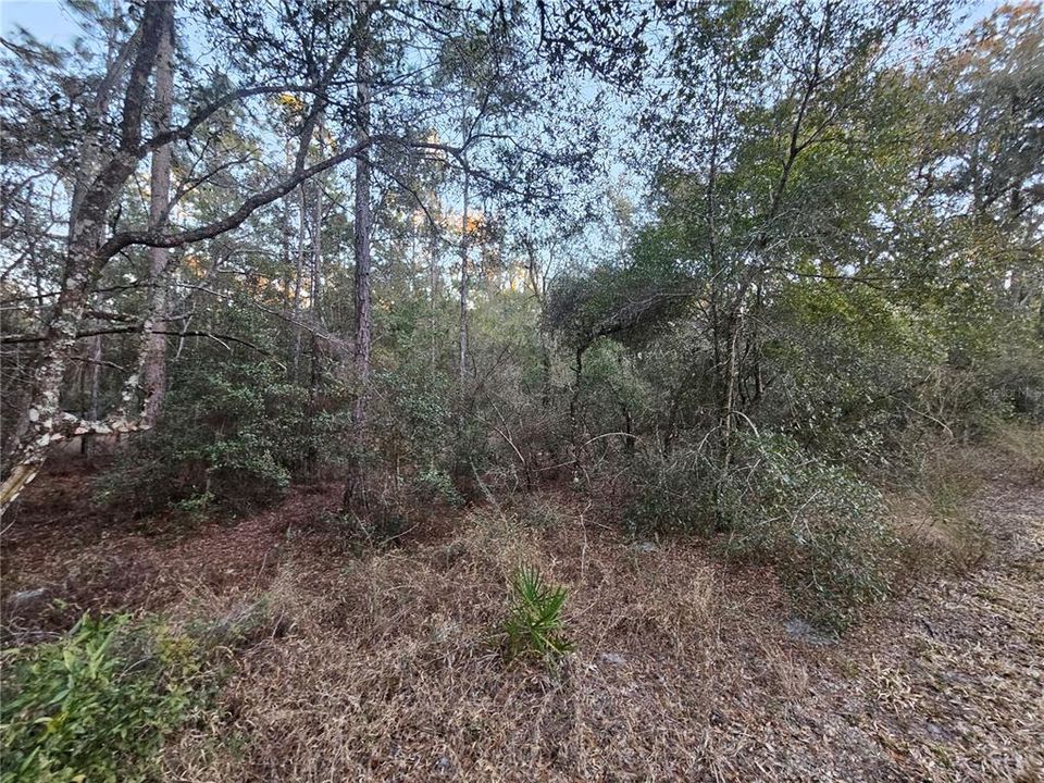 待售: $39,900 (0.98 acres)