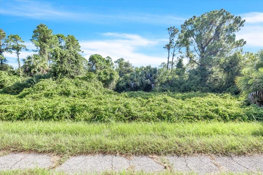 На продажу: $15,000 (0.24 acres)