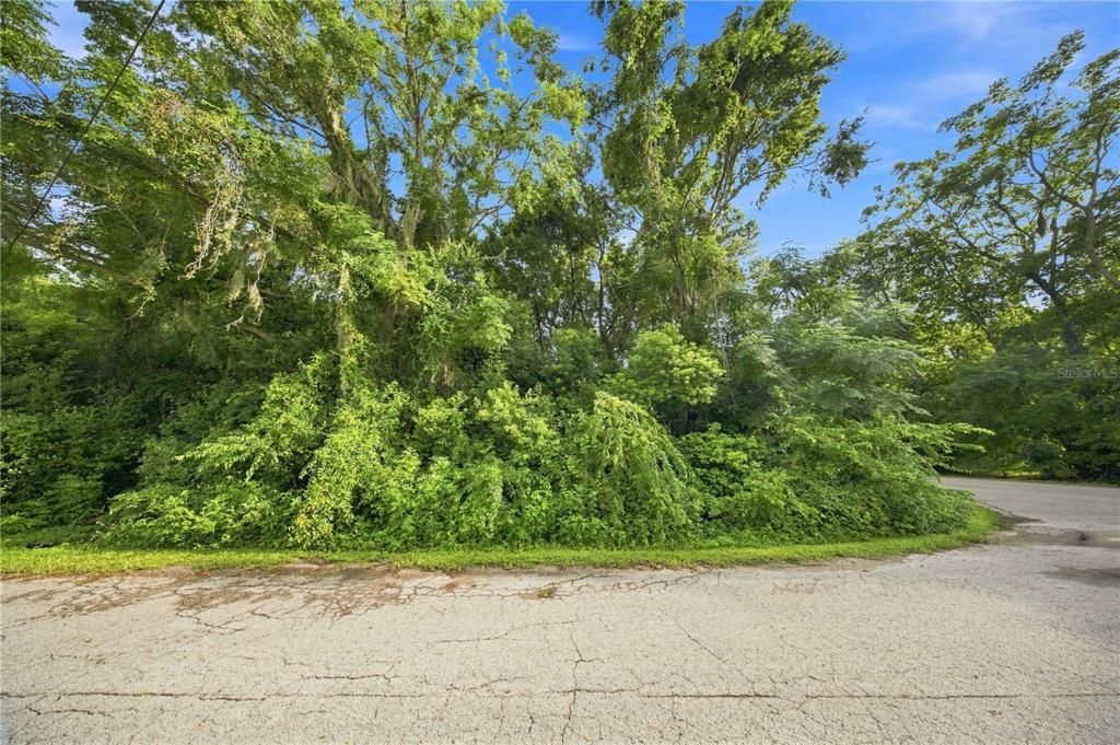 待售: $49,900 (0.28 acres)