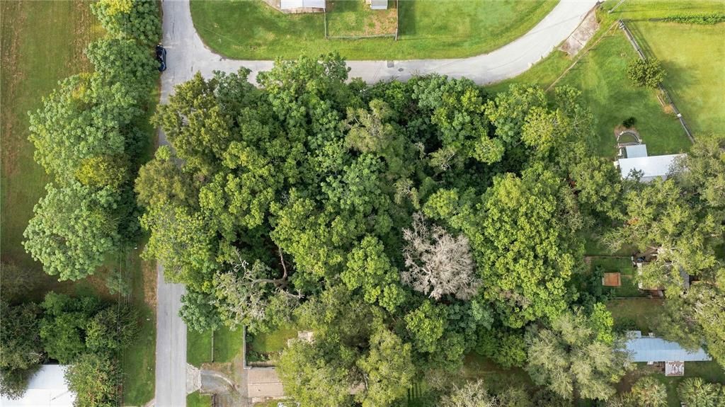 待售: $49,900 (0.28 acres)