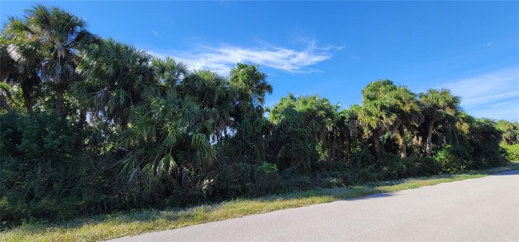 For Sale: $14,000 (0.23 acres)