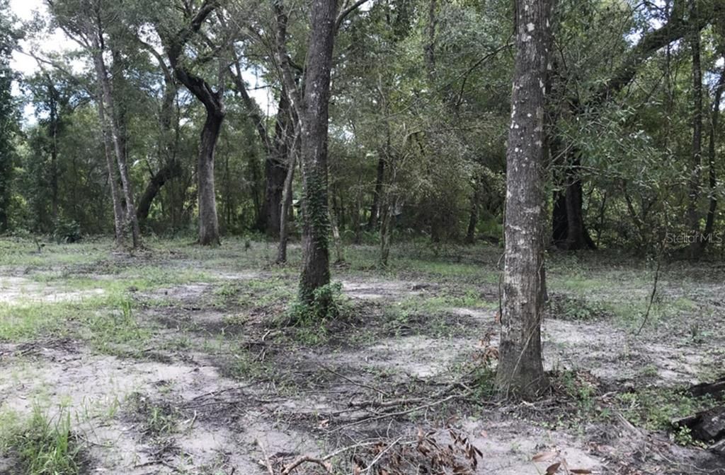 待售: $14,000 (0.23 acres)