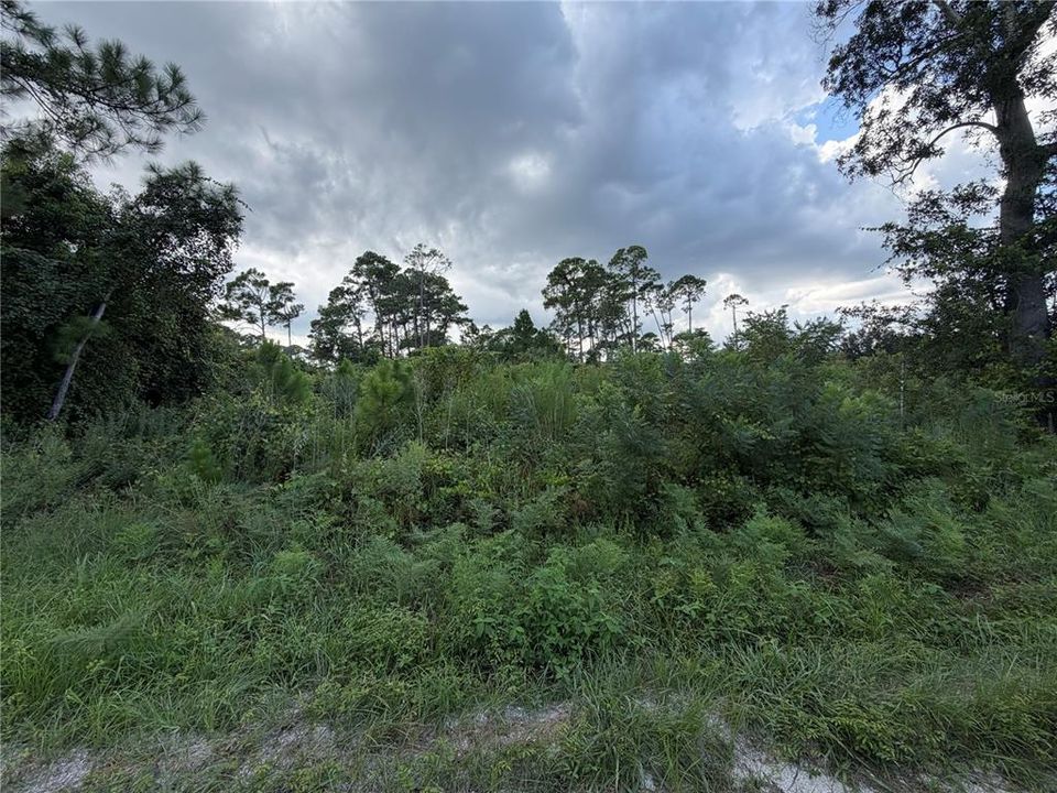 En Venta: $40,000 (0.31 acres)