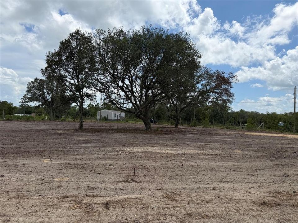 For Sale: $42,000 (1.25 acres)