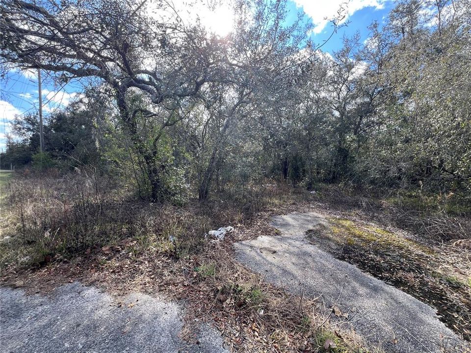 На продажу: $90,000 (1.00 acres)