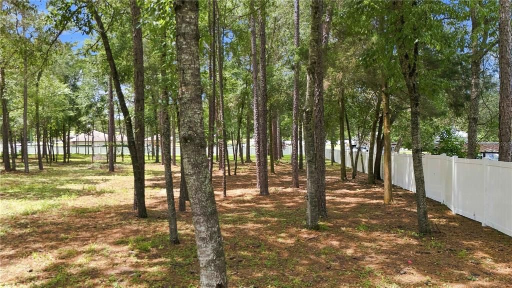 На продажу: $90,000 (1.10 acres)