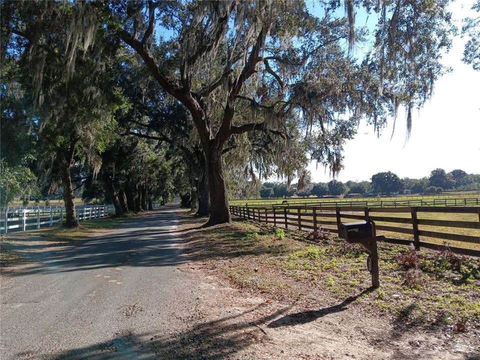 For Sale: $750,000 (10.85 acres)