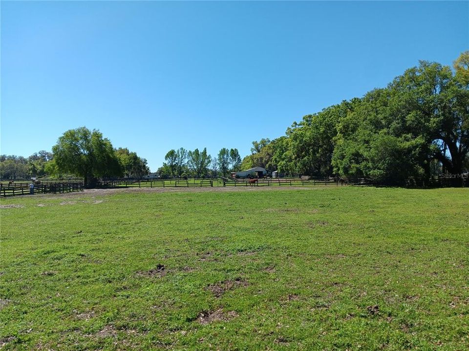 For Sale: $750,000 (10.85 acres)