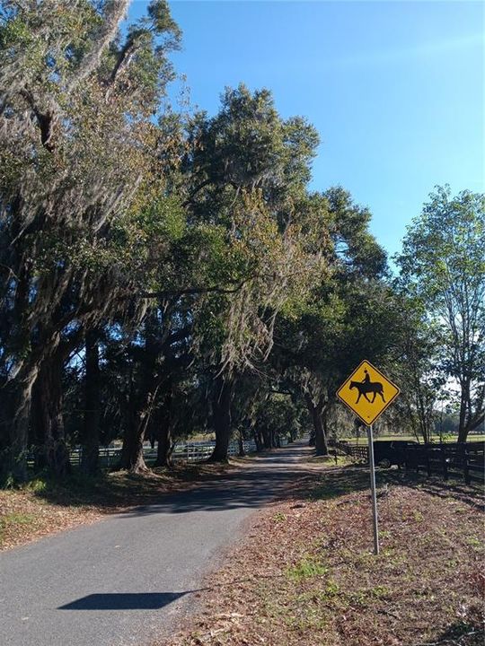 For Sale: $750,000 (10.85 acres)
