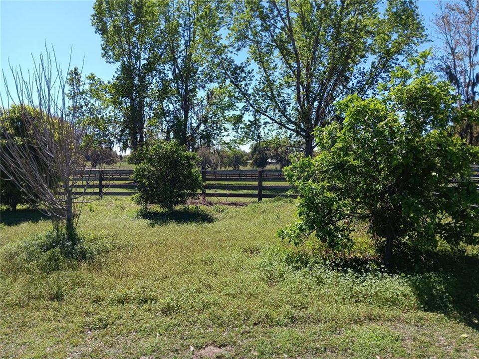 For Sale: $750,000 (10.85 acres)