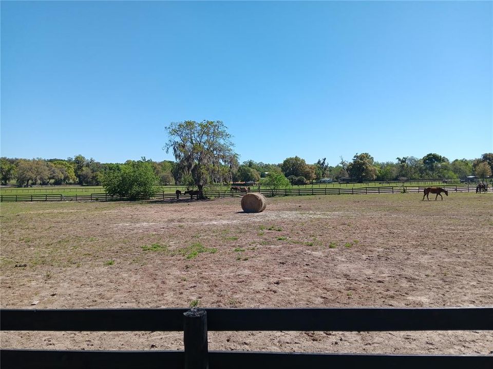 For Sale: $750,000 (10.85 acres)