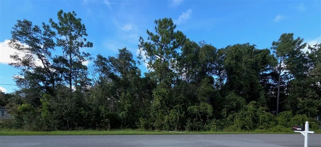 На продажу: $99,000 (1.20 acres)