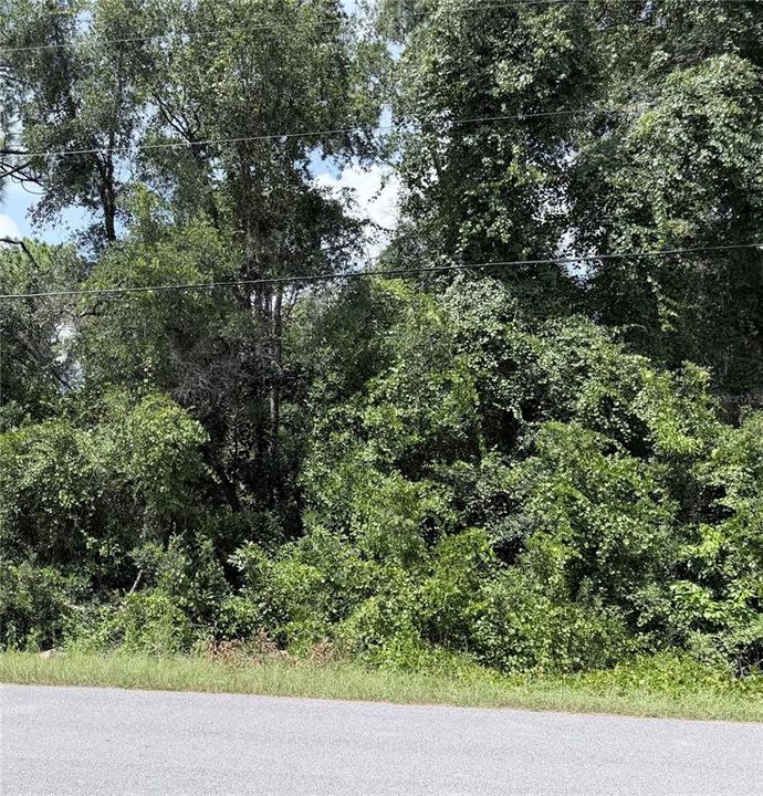На продажу: $99,000 (1.20 acres)