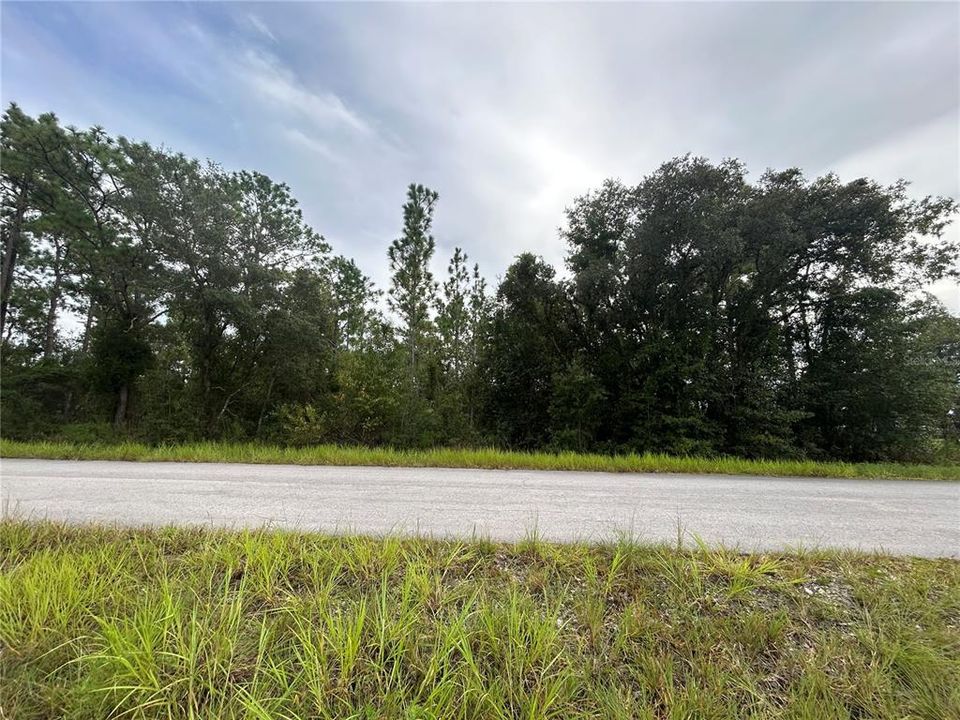 For Sale: $29,900 (0.23 acres)